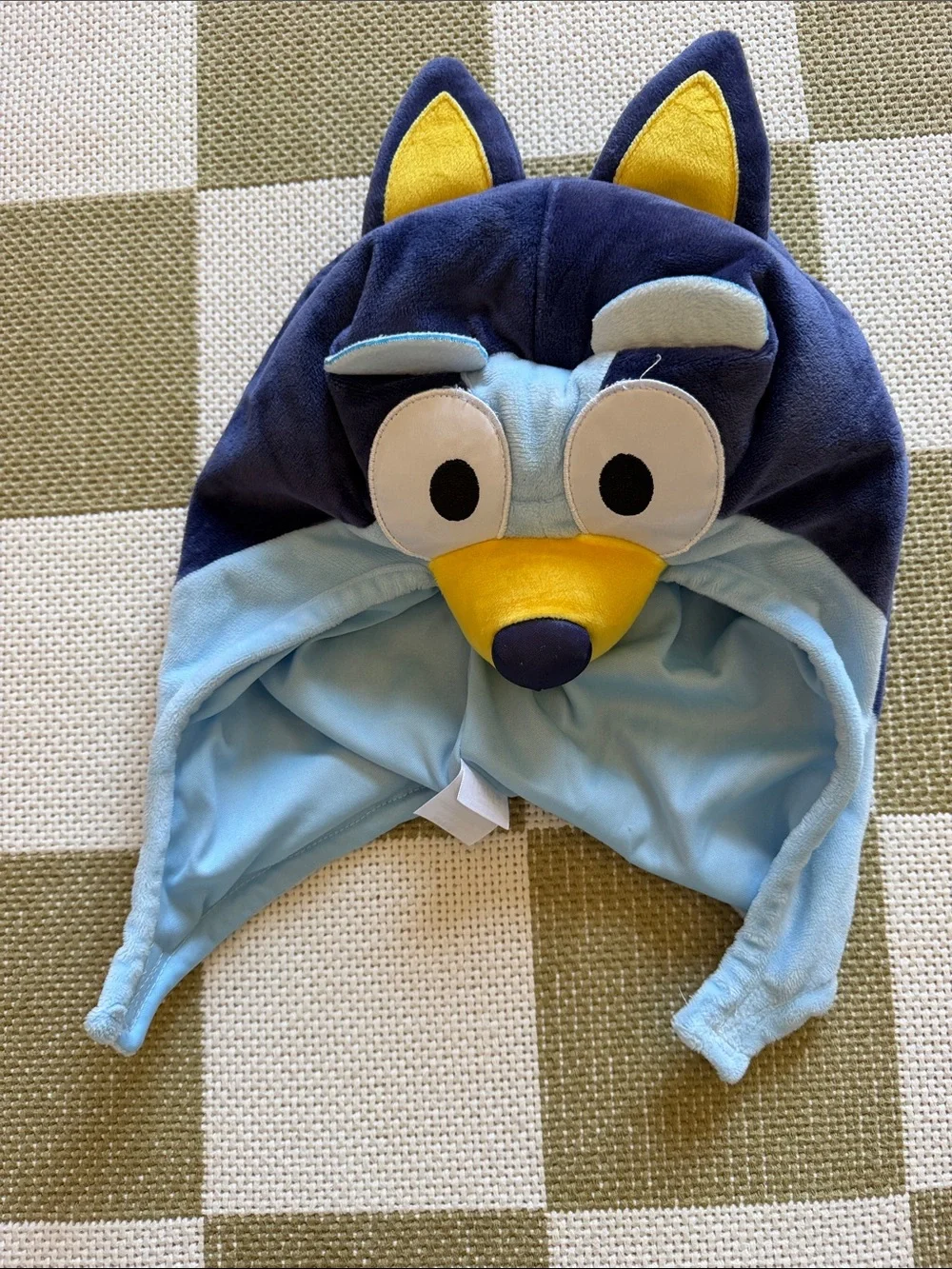 Bluey Costume